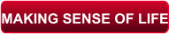 MAKING SENSE OF LIFE