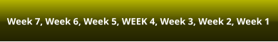Week 7, Week 6, Week 5, WEEK 4, Week 3, Week 2, Week 1